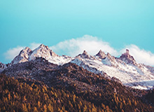 德甲2025-已过第一关！就看今年了！ 上海马拉松最快2027年加入世界马拉松大满贯赛事，去年上马跻身世界田联全球马拉松排名前十