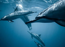 足球投注推荐-纵相俱乐部 | 找回自己，重新出发